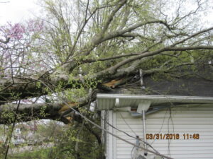 Storm damage before