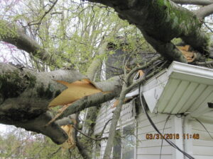 Storm damage before