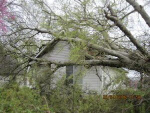 Storm damage before