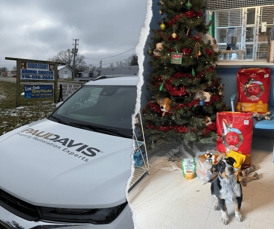 Butler County Animal Shelter Donations