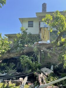 Tree storm damage